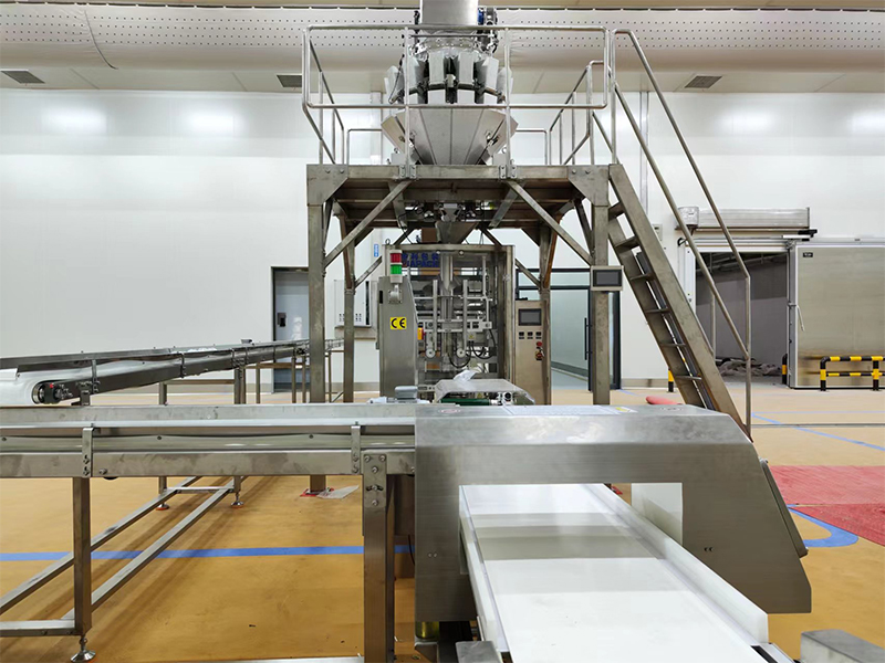 ఘనీభవించిన ఆహారం కోసం ఆటోమేటిక్ ప్యాకింగ్ మెషిన్.6