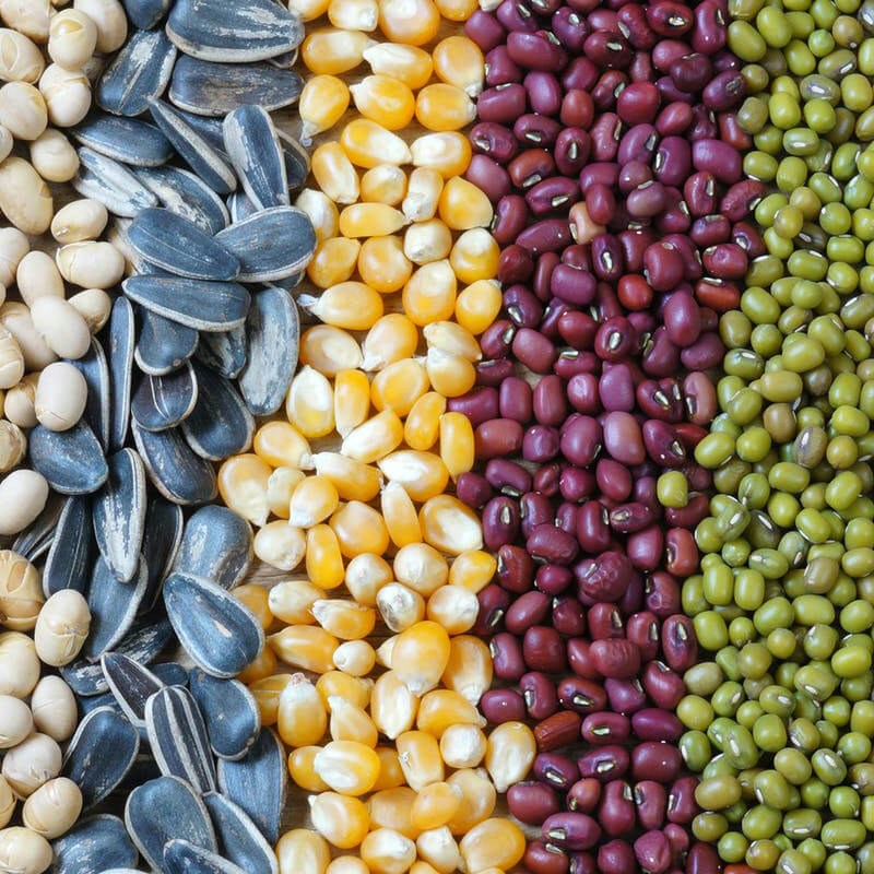 స్వయంచాలక విత్తనాల ప్యాకేజింగ్ యంత్రం